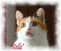 Stellas Avatar