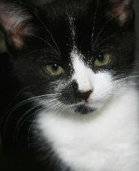 Tina8279s Avatar